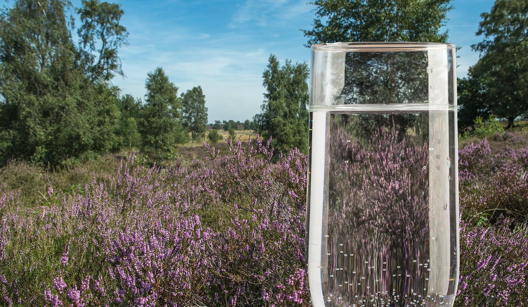 Waterbronnen Limburg Maasduinen