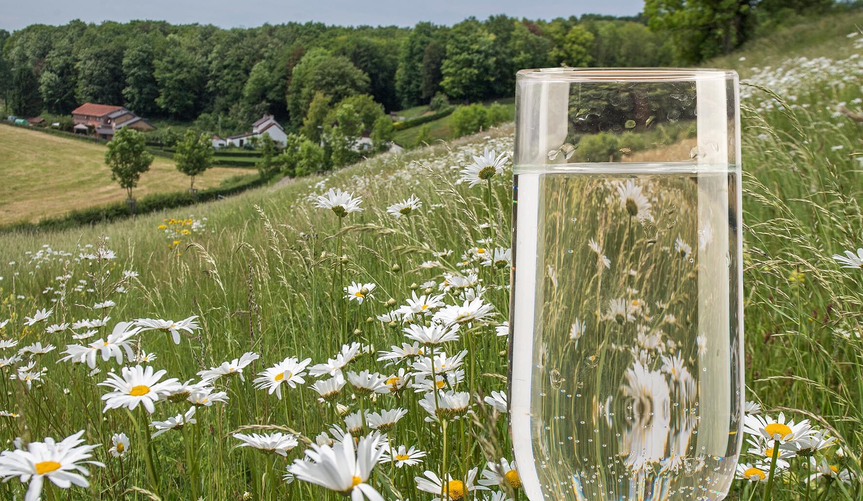 Waterbronnen Limburg Oostelijk Heuvelland