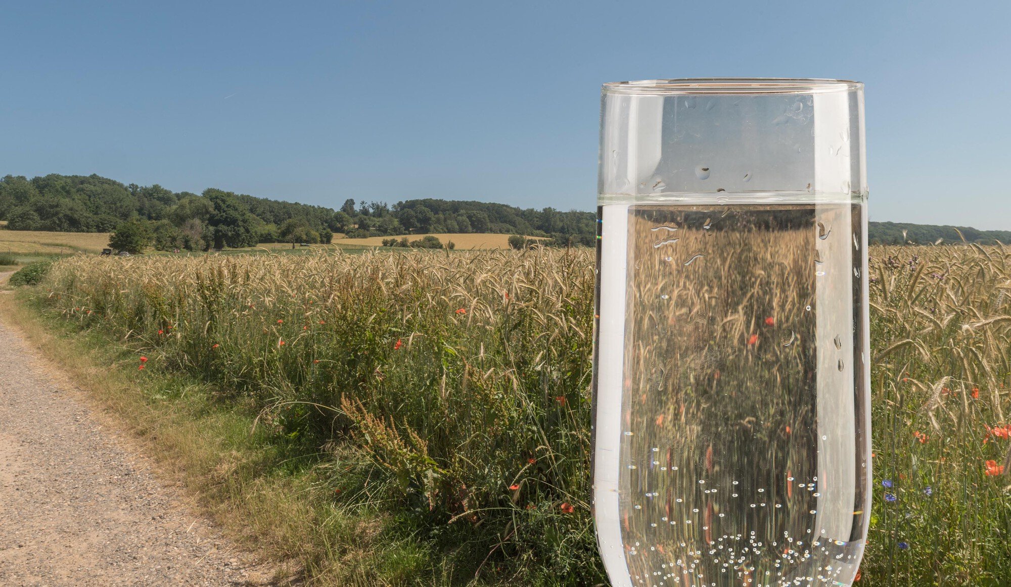 Waterbronnen Limburg Westelijk Mergelland