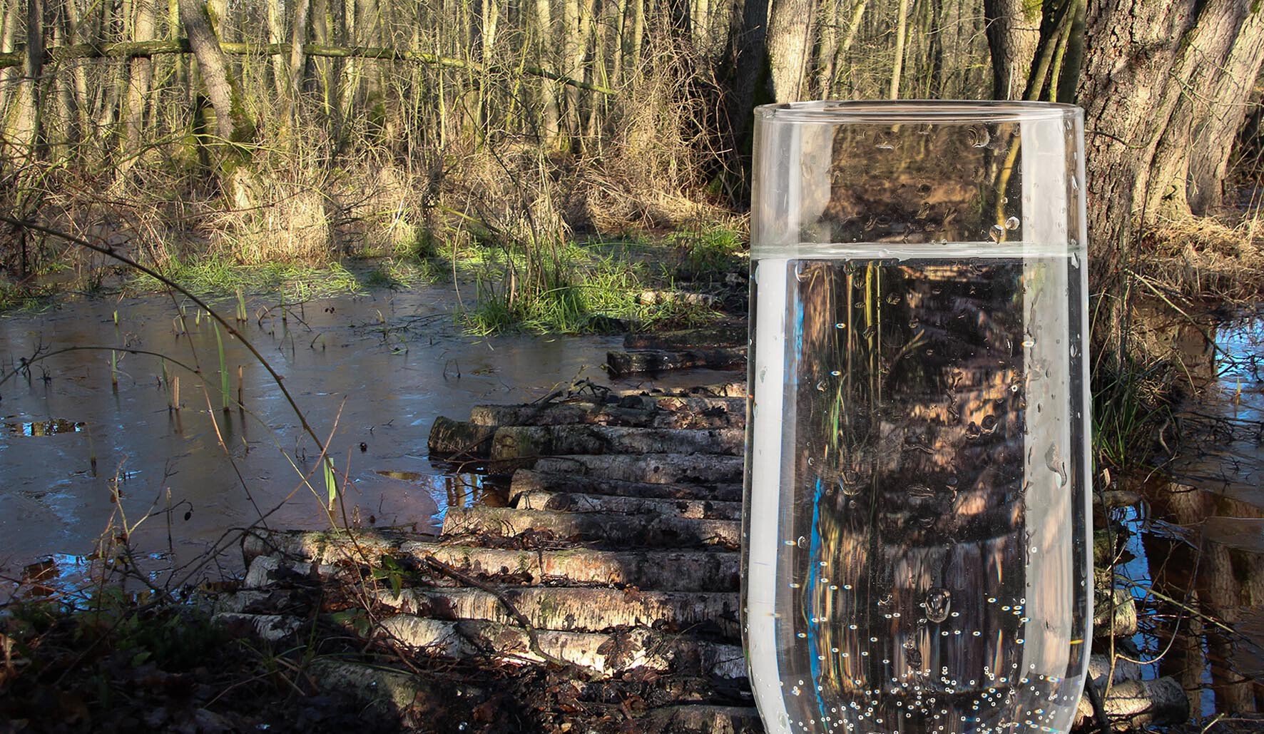 Waterbronnen Limburg Breehei