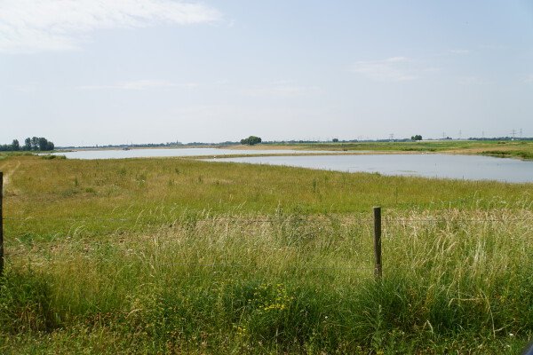 Gebiedsontwikkeling Wijnaerden